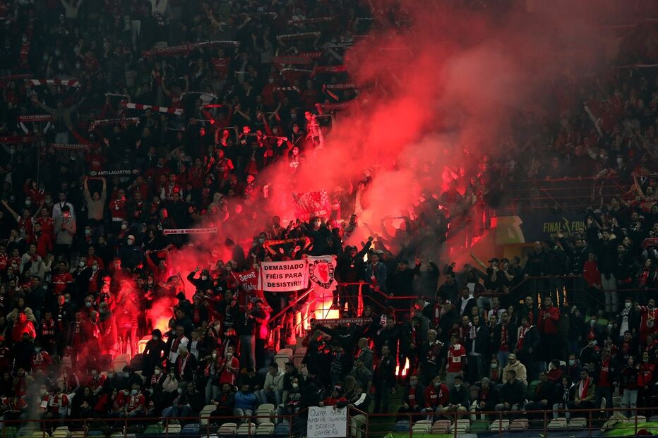 Imagem LMN_3942.JPG (13456226) (Milenium)