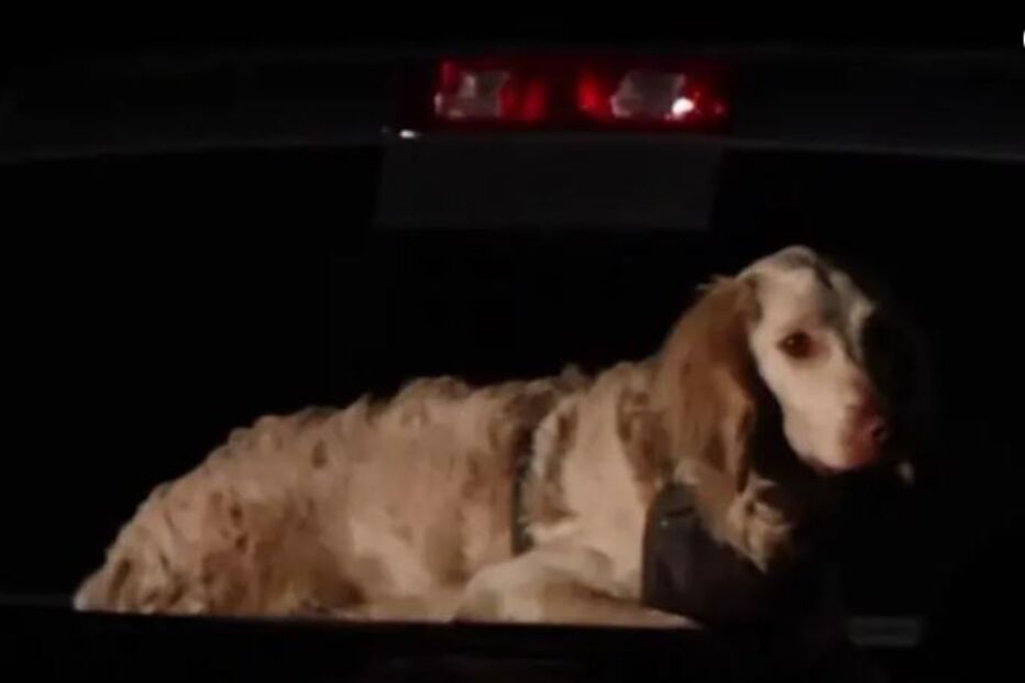 2022-04-03_02_05_43 Capture (1).JPG