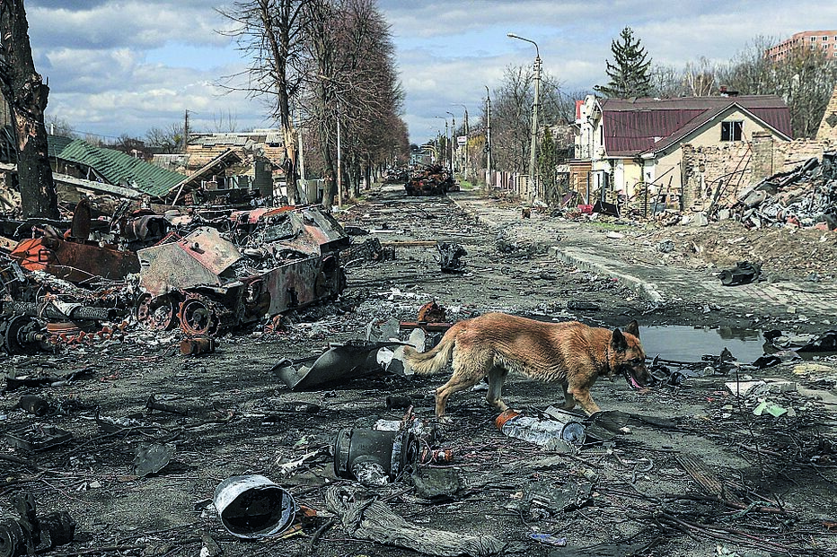 ucrânia, guerra, conflito, invasão russa, destruição, morte, bucha