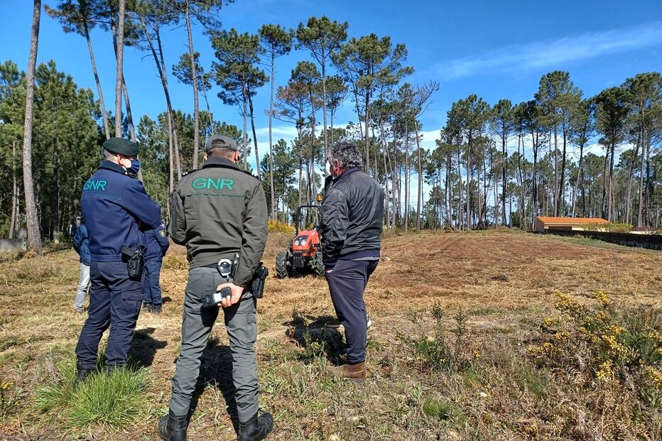 fiscalização, gnr, zonas florestais, risco de incêndio