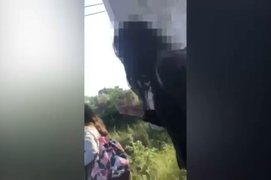 Alunas agressoras que fizeram bullying a colega no Seixal vão fazer terapia