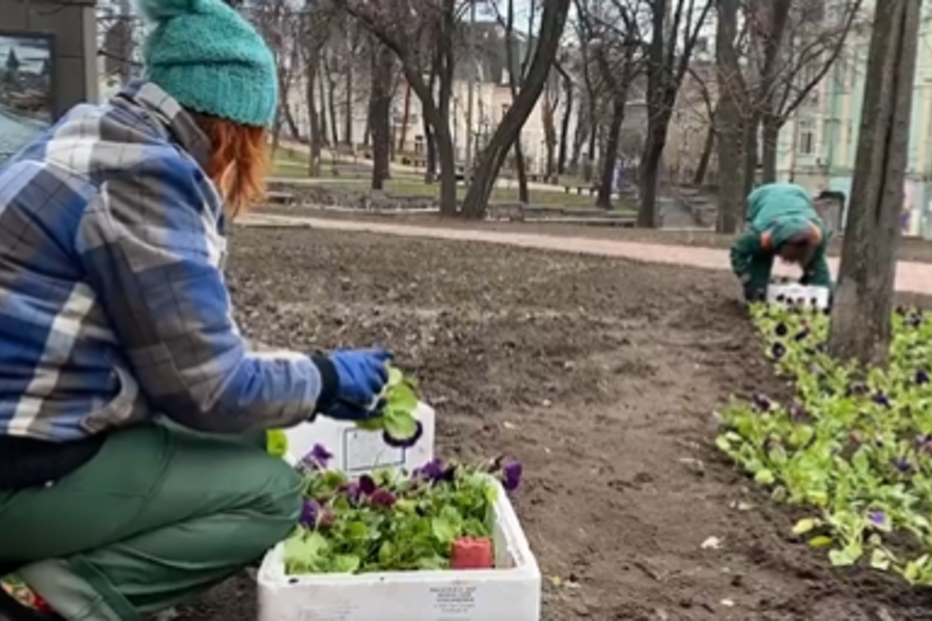 Mulher planta flores em Kiev, na Ucrânia