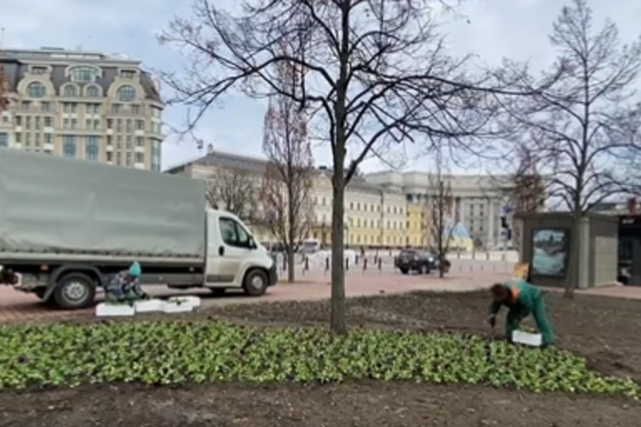 Mulher a plantar flores em Kiev, ao mesmo tempo que a guerra decorre