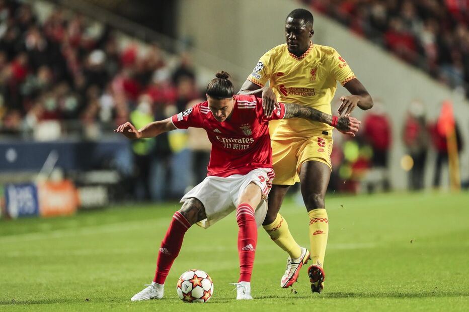 Darwin, benfica, champions