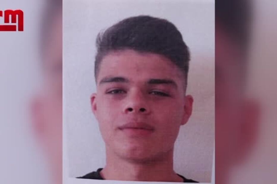 André Fernandes, caloiro