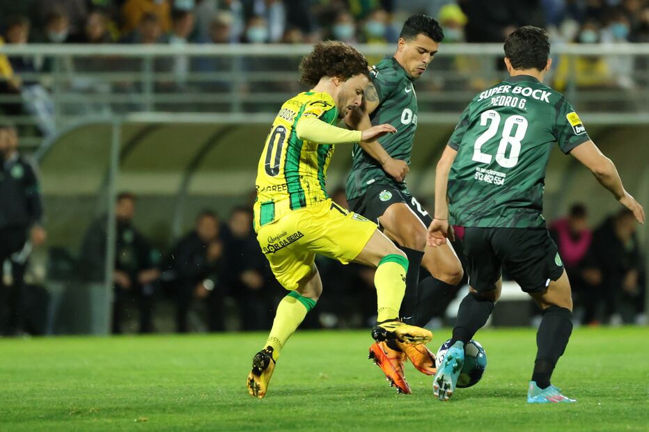 Tondela - Sporting