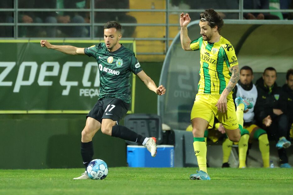 Tondela - Sporting