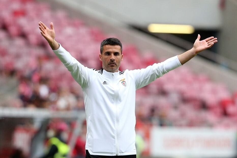 veríssimo, benfica, treinador, 