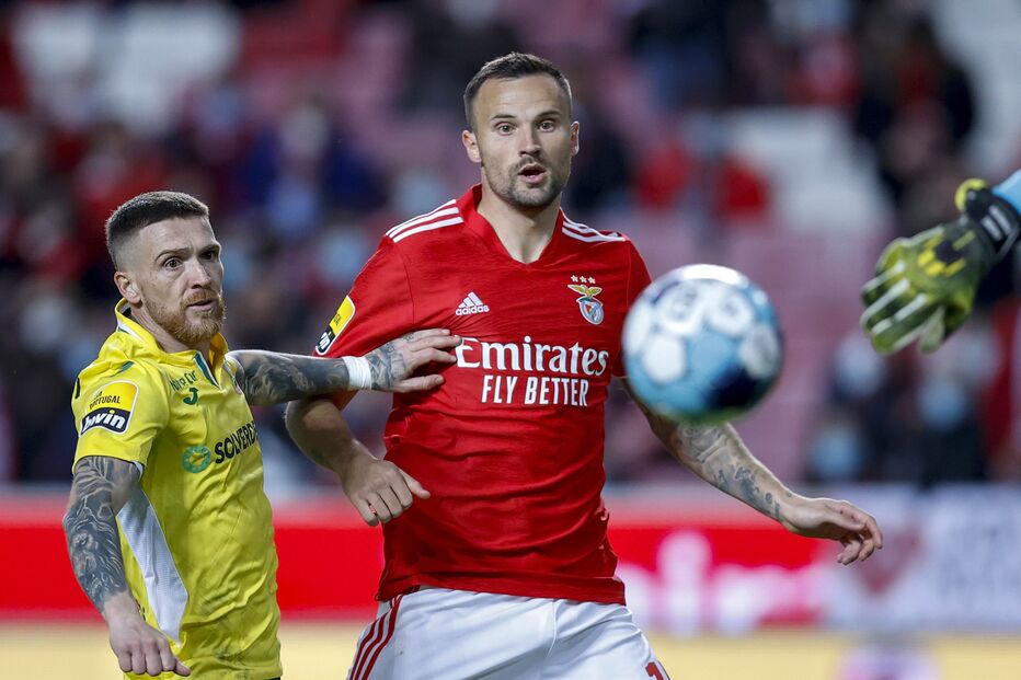 seferovic, benfica