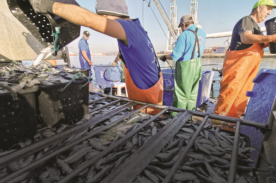 Lotas, pescadores, pesca