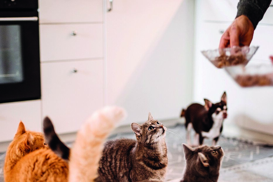 2022-04-23_21_35_46 Imagem GettyImages-1055938064.jpg