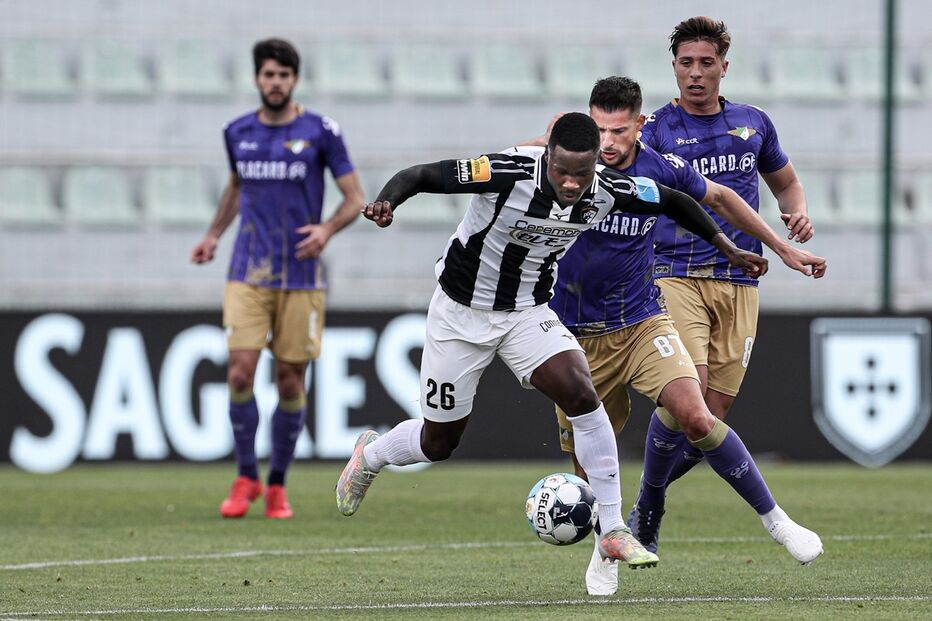 38378061.JPG (13691527) (Milenium)