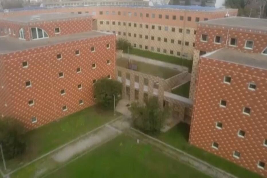 assédio sexual, violação, faculdade de letras do porto