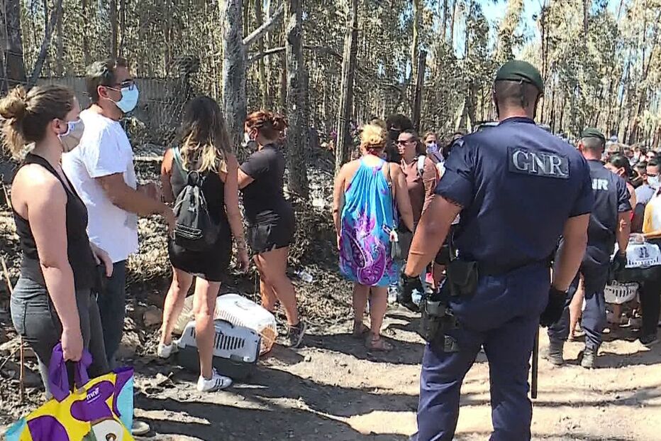 incêndio, canil, santo tirso, animais, autoridades, GNR