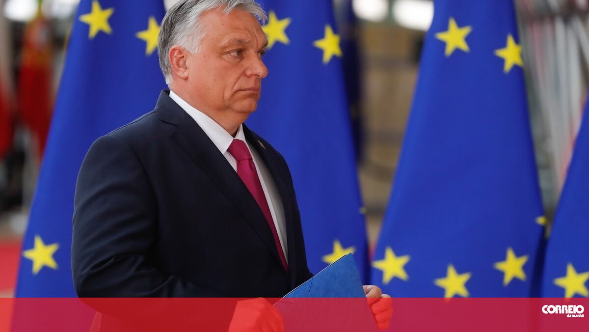 Auschwitz committee ‘shocked’ by Hungarian prime minister’s speech on pure race