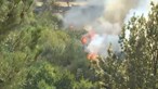Incendiário detido em flagrante a atear fogos em Castelo de Paiva