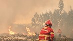 Governo quer pagar 1 euro/dia por bombeiro na época de fogos 