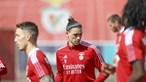 Benfica paga cinco milhões de euros a Paulo Gonçalves para largar Darwin