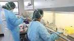 Surto não pára de aumentar: Varíola dos macacos atinge Norte e Algarve