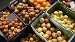 Fruta portuguesa com maior quantidade de pesticidas