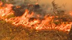 Oito concelhos de Faro, Portalegre e Santarém em perigo máximo de incêndio