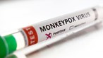Surto de Monkeypox repentino em 30 países sugere que transmissão decorre há algum tempo, revela OMS