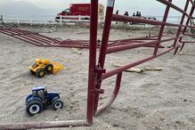 Duas crianças mortas após atropelamento enquanto brincavam em estábulo