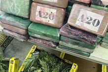 droga, setúbal, apreensão