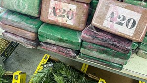 Ananás oculta 250 quilos de cocaína em Setúbal