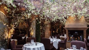 Restaurante “mais romântico” de Londres transforma-se num verdadeiro pesadelo após infestação de ratos