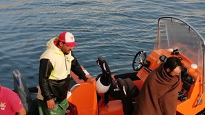 Pescadores resgatados com vida ao largo da praia do Tonel em Sagres