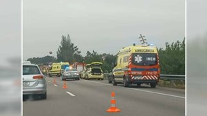 Câmara de Guimarães envia condolências às famílias e lamenta "trágico acidente" na A1