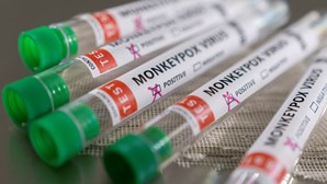 OMS confirma 131 casos de Varíola dos Macacos em 19 países