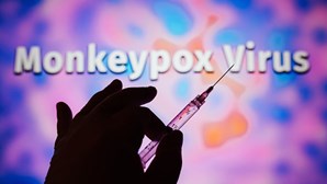 Sobe para 328 o número de casos de varíola dos macacos em Portugal 