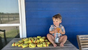 Menino de dois anos encomenda 31 cheeseburgers através do telefone da mãe