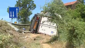 Despiste de camião faz dois feridos em Proença-a-Nova
