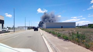 Dois mortos numa explosão em fábrica de biodisel em Espanha