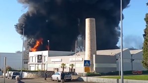 Novas imagens mostram chamas que consomem fábrica em São João Madeira 
