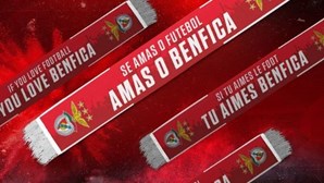 "Se amas o futebol, amas o Benfica": Águias criam cachecol inspirado na frase de Roger Schmidt