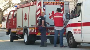 Colhido por ambulância em Celorico da Beira já teve alta