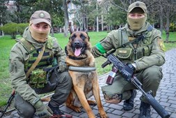 O animal foi tratado e treinado pelo exército ucraniano