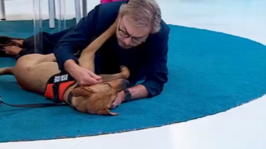 Tagus, o cão bombeiro, esteve no Manhã CM