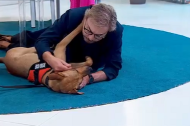 Tagus, o cão bombeiro, esteve no Manhã CM