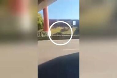 Carro em marcha-atrás na A2 em Almada. Veja o vídeo