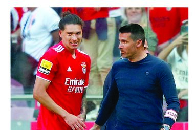 Nélson Veríssimo, Darwin