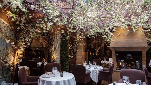 Restaurante “mais romântico” de Londres transforma-se num verdadeiro pesadelo após infestação de ratos