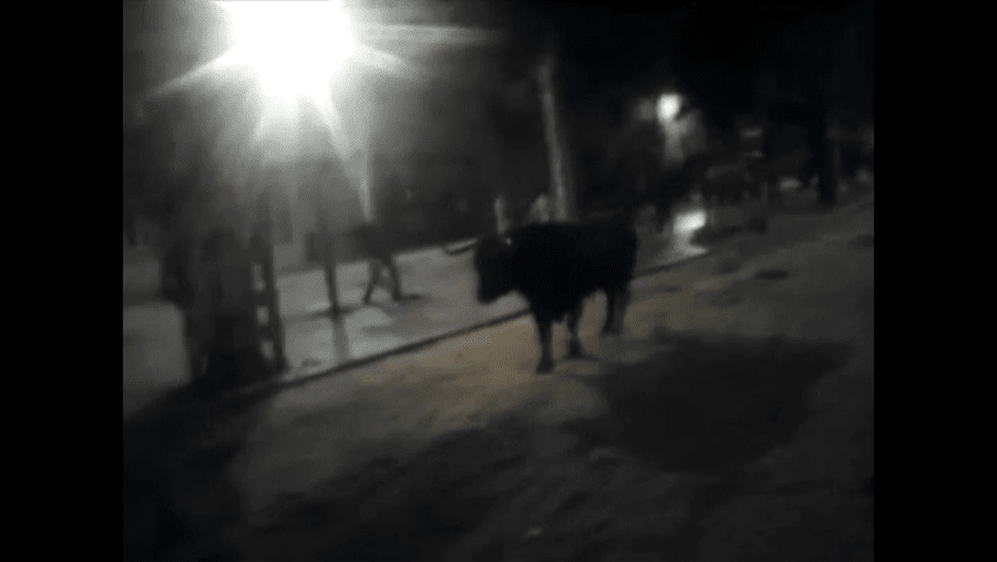 Jovem de 16 anos morre em largada de touros na Moita