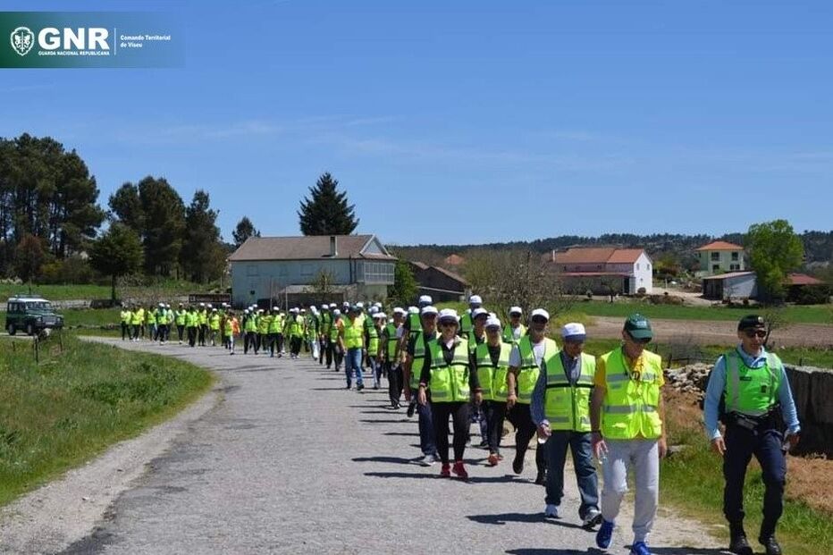 peregrinos, peregrinação, conselhos, fiéis, fátima