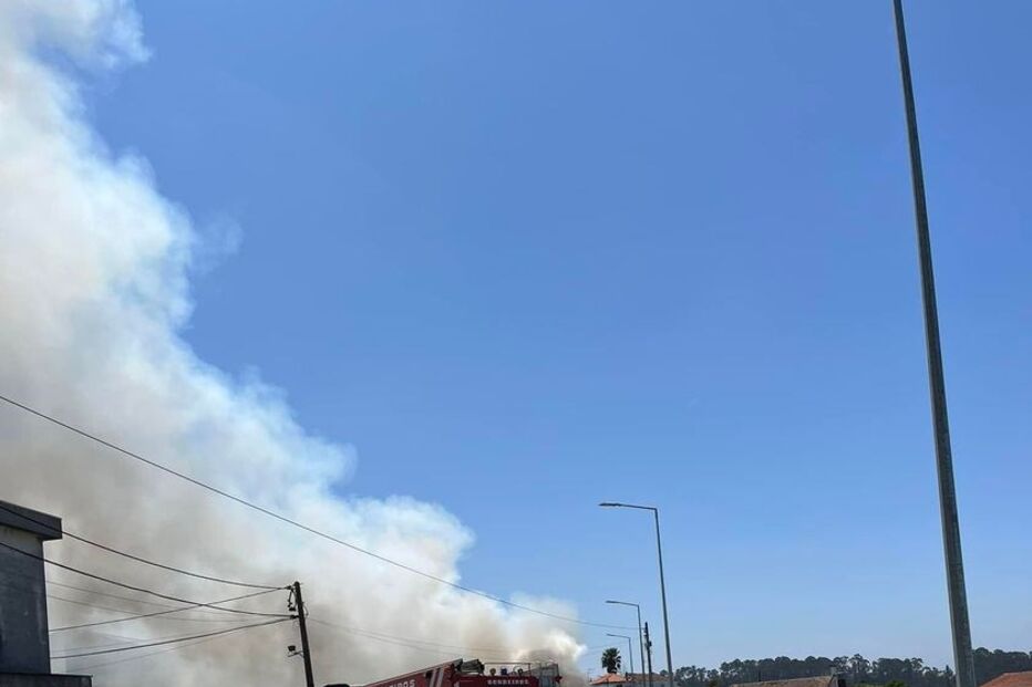 Camião incendia-se na Estrada Nacional 109-4 em Santa Maria da Feira