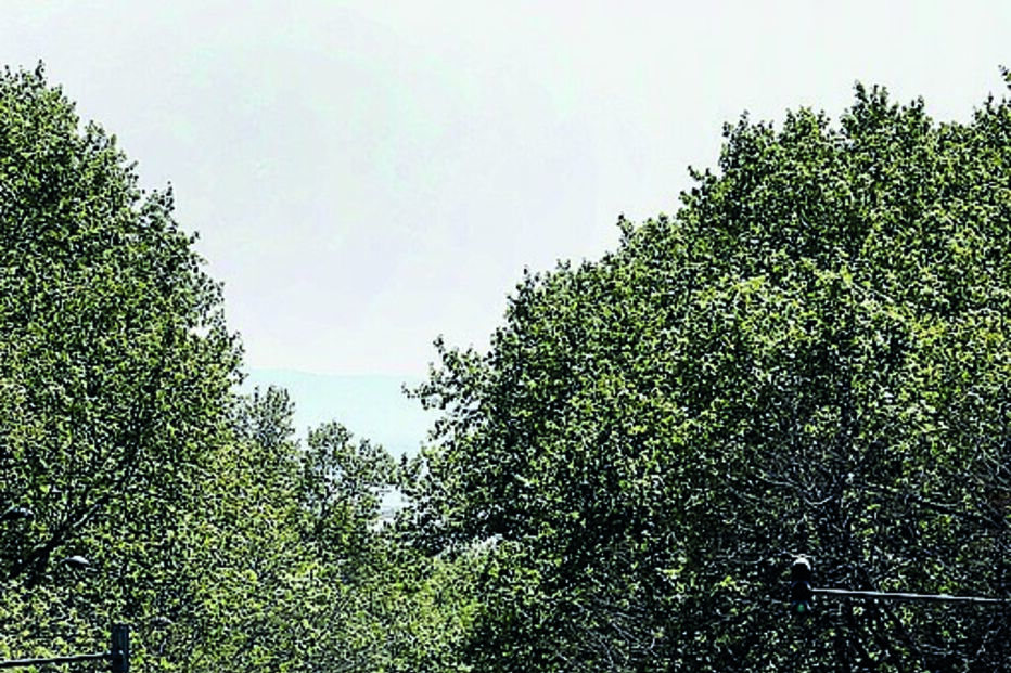 Avenida da Liberdade